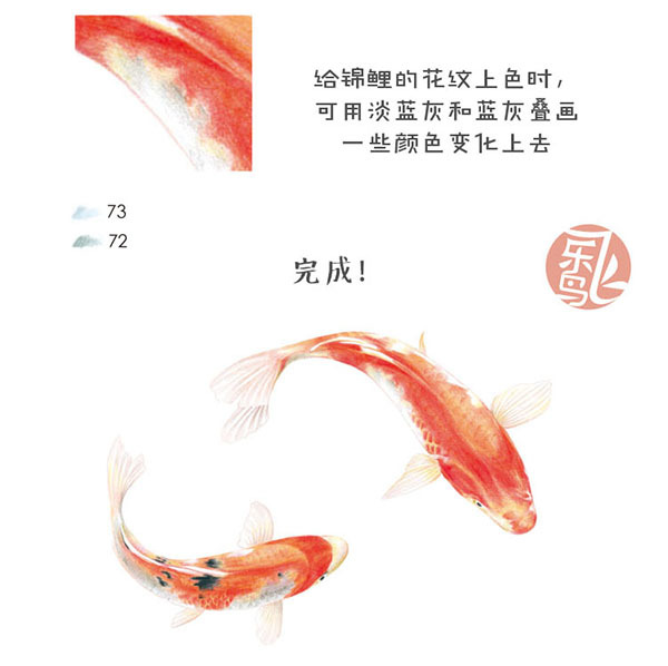 锦鲤转运